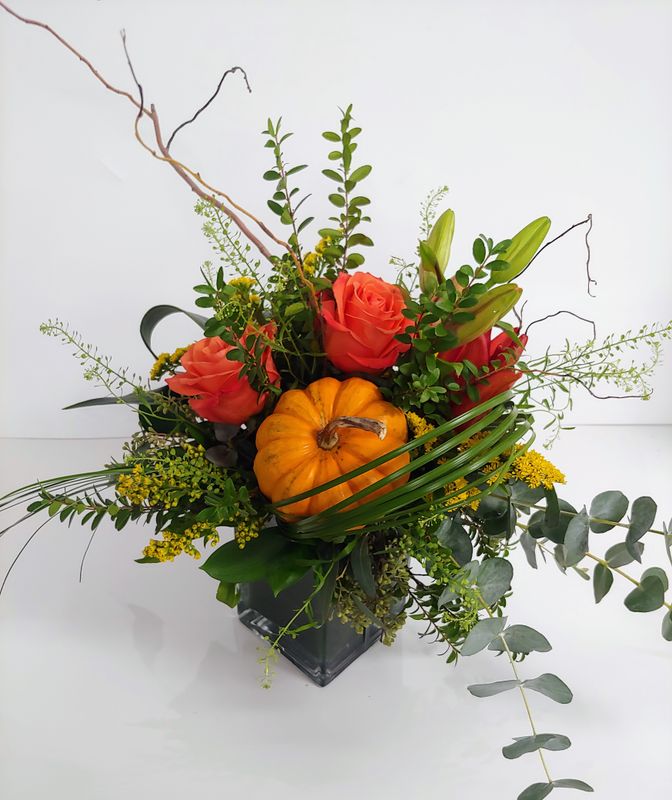 Montage Citrouille mini