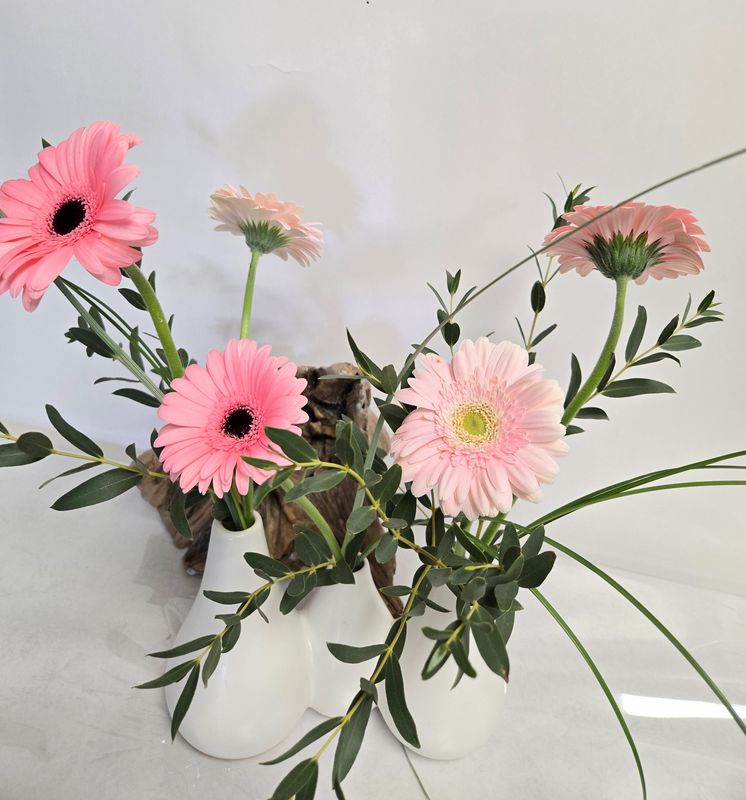 Trios soliflore mini gerbera assortie