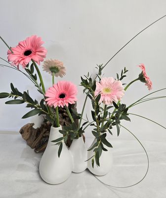 Trios soliflore mini gerbera assortie