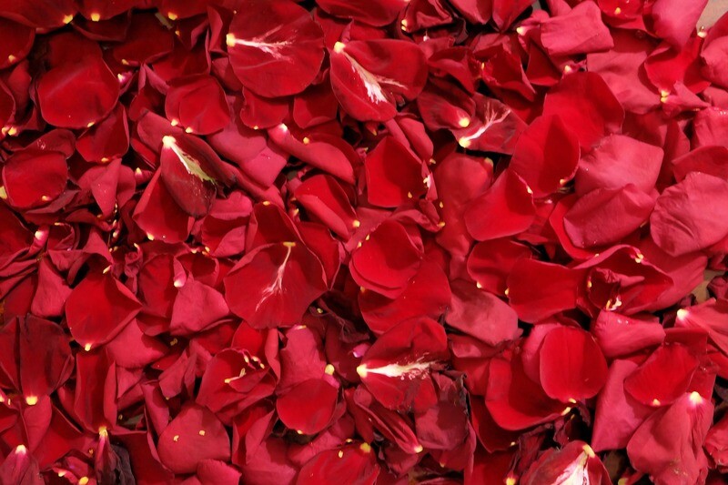 Sac de pétales de roses