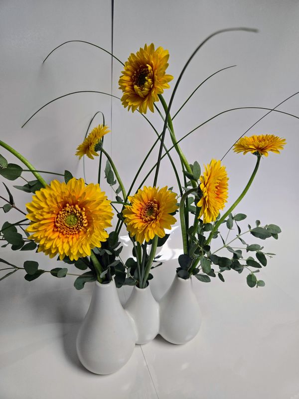 Trios soliflore mini gerbera assortie