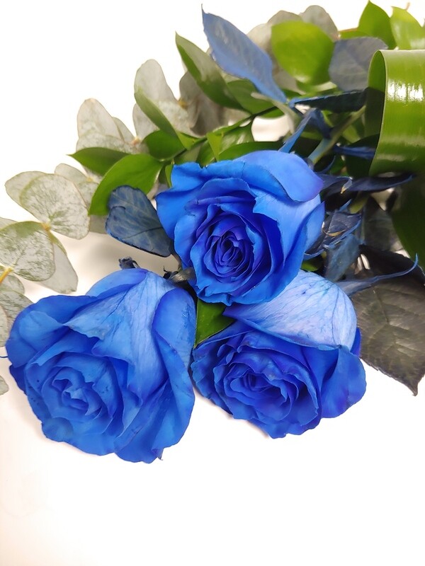 Roses bleues