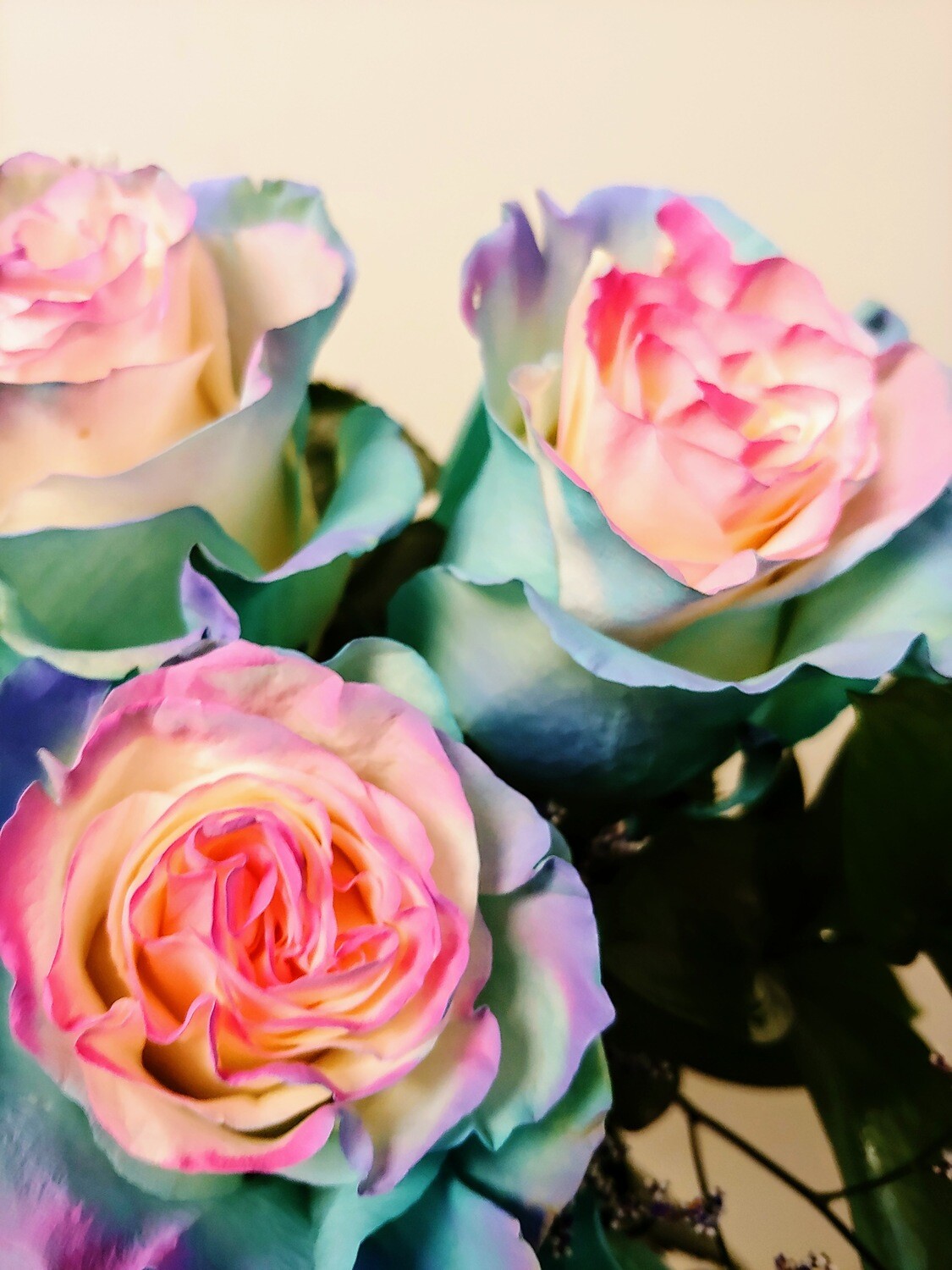 Roses Bubble Gum, Nombre: 3 Roses