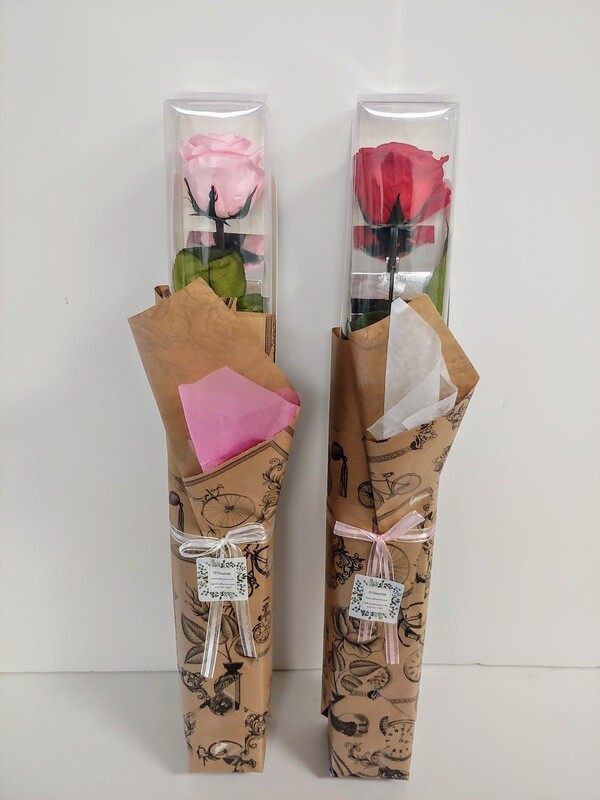 Rose éternelle sur tige