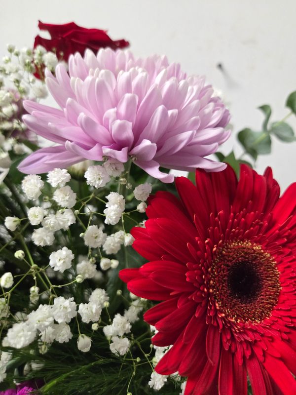 Florist's choice