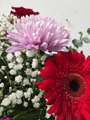 Florist's choice