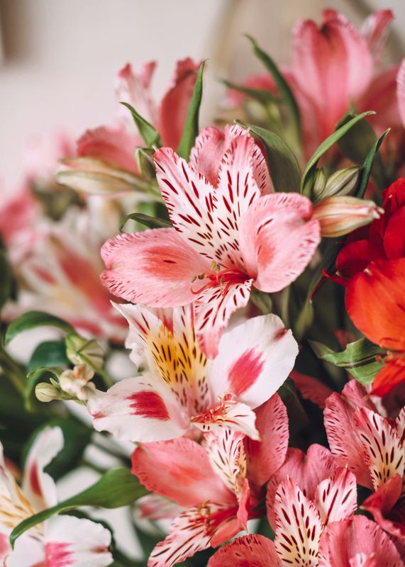 Spring bouquet