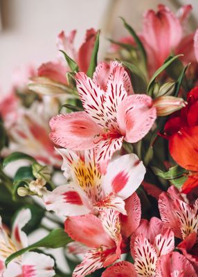 Spring bouquet