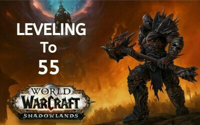 WOW Shadowlands Leveling to 55