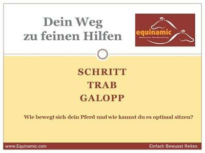 Webinar Reihe- Teil 1: Schritt, Trab, Galopp