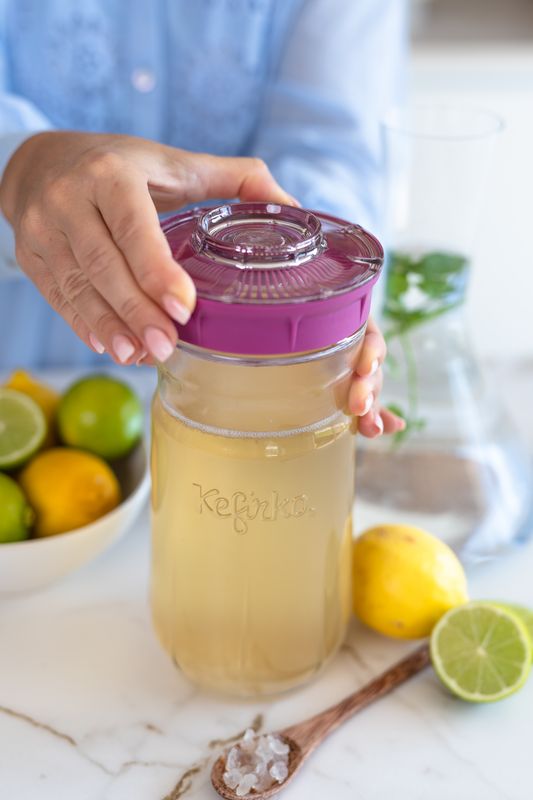 Water Kefir Fermenting Kit  (with fresh grains)
