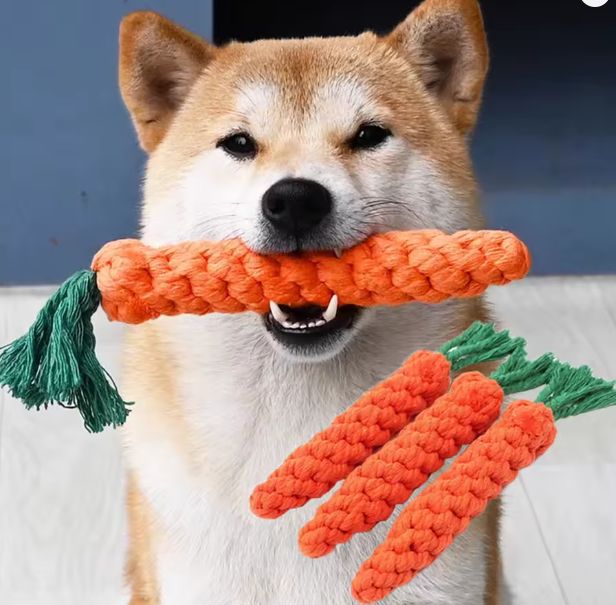 1Pcs Carrot Dog Bite Rope Pet Dog