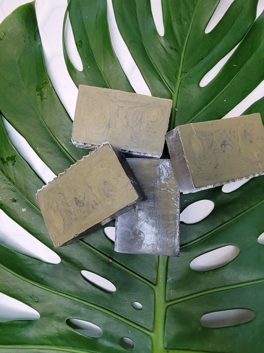 Eucalyptus & The Bee Charcoal Soap