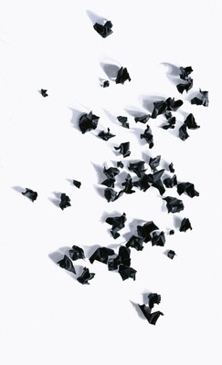 100 Reasons Left Panel Art Print