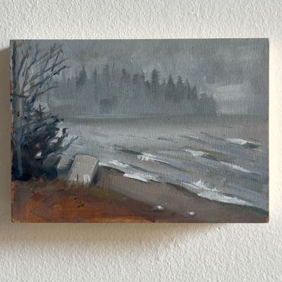 Mist at Tuckamore