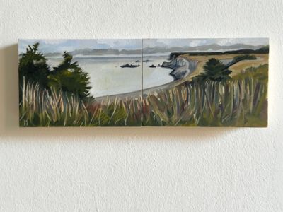 Trout River View From Eastern Point 3