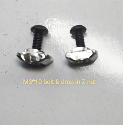 M3 x 10mm bolt and m3 drop in Z slot nut. ideal for adjusting Z sensor height. Pack of two