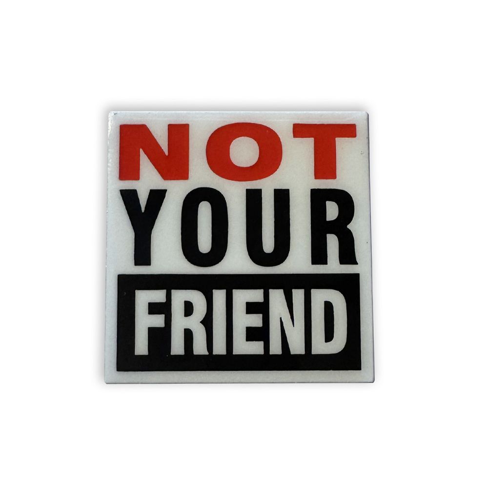 NO FRIENDS PIN