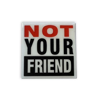 NO FRIENDS PIN