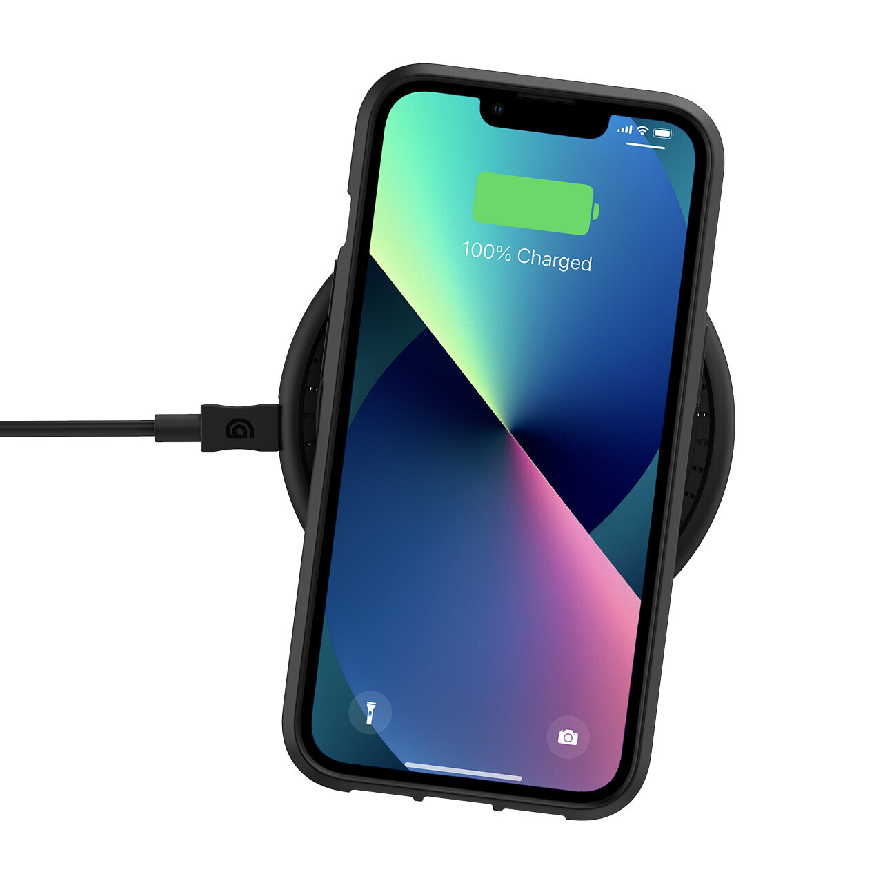 Survivor iPhone 13 Pro Clear, Black