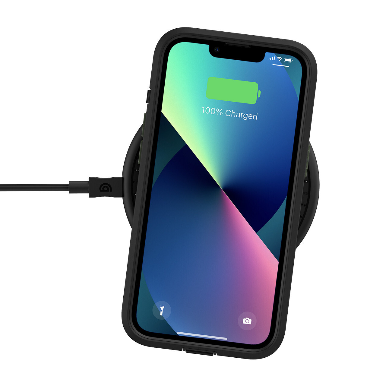Survivor iPhone 13 Earth, Black/Wild Fern