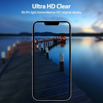 TDG iPhone 12 Pro Max Tempered Glass, C