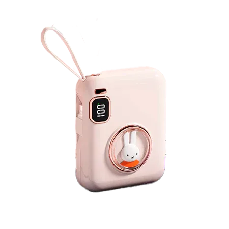 TDG 1378/HT-DX132 10000mAh, Power Bank