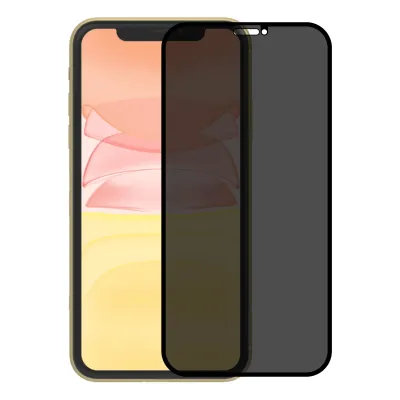 TDG KuzGuard iPhone 11 Pro Max/XS Max Privacy Glass