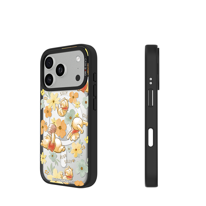 CASEBANG Winnie the Pooh Series - iPhone 17-15 Series | Snap-On Cover