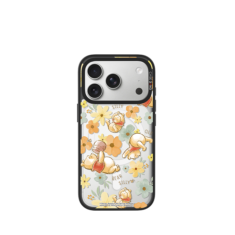 CASEBANG Winnie the Pooh Series - iPhone 17-15 Series | Snap-On Cover