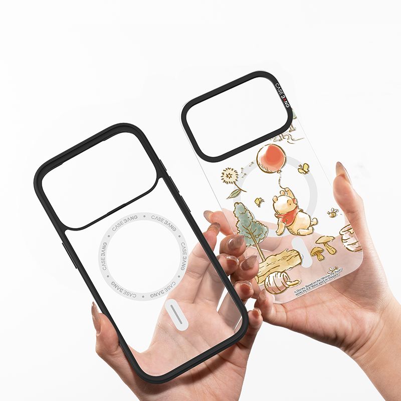 CASEBANG Winnie the Pooh Series - iPhone 17-15 Series | Snap-On Cover