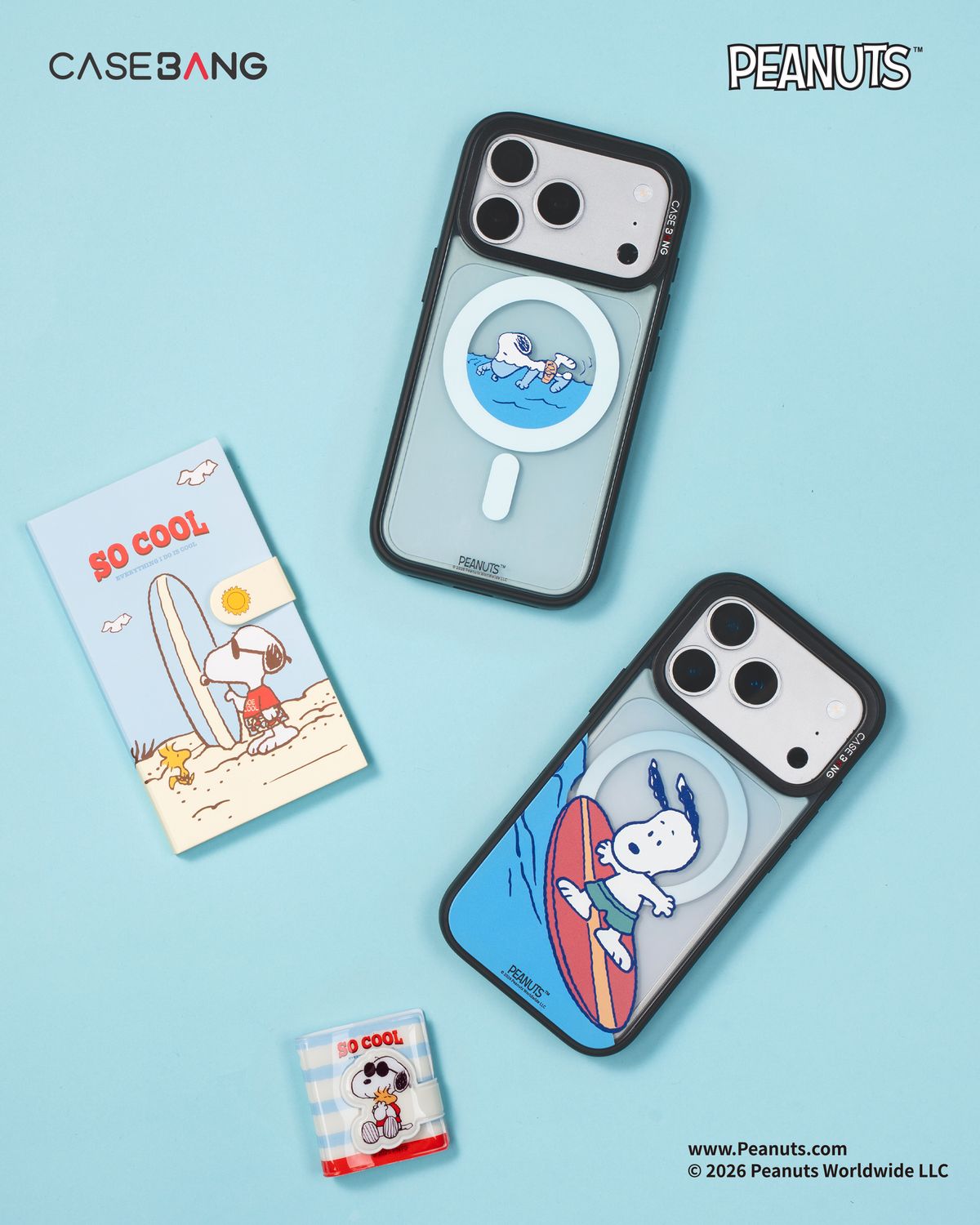 CASEBANG Snoppy Series - iPhone 17-15 Series | Snap-On Cover Only
