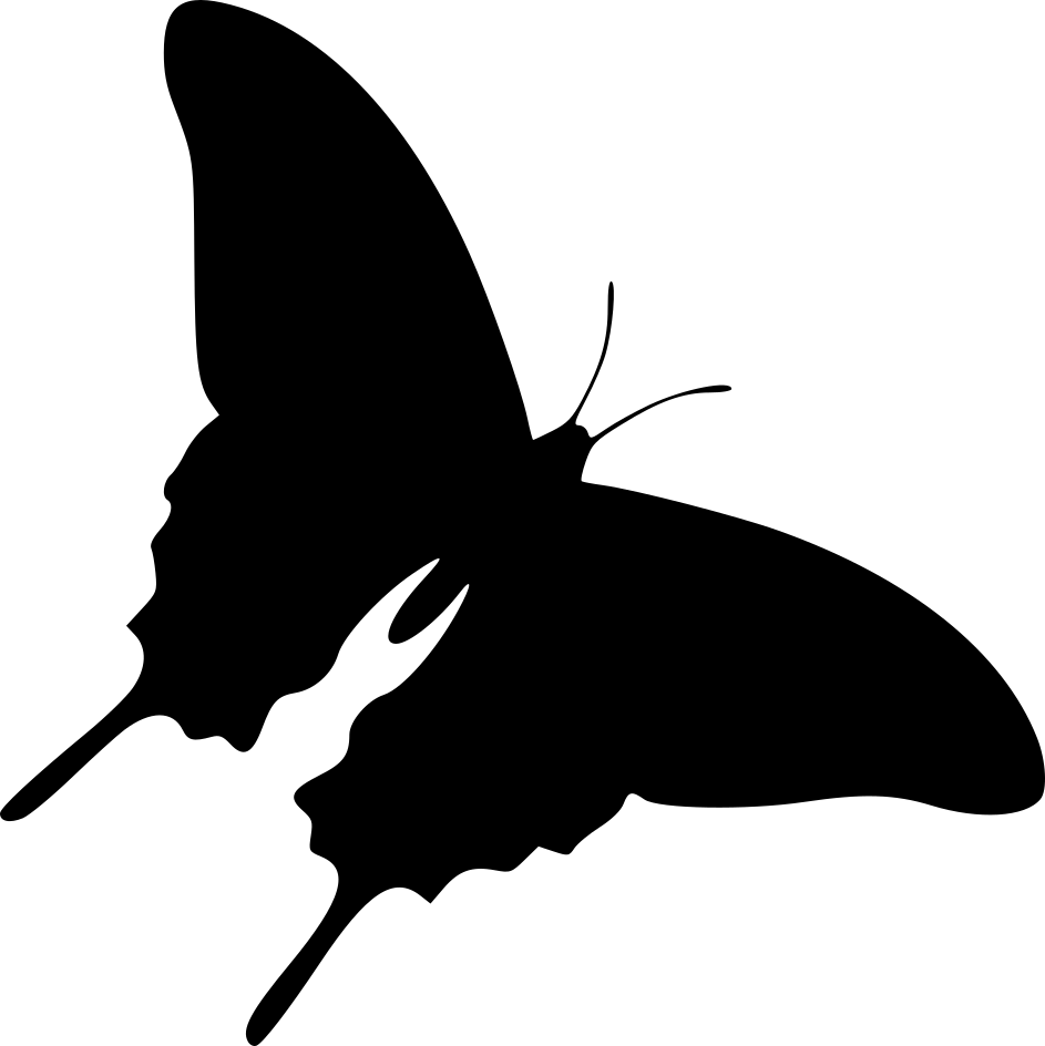 Papillon à queue d'hirondelle