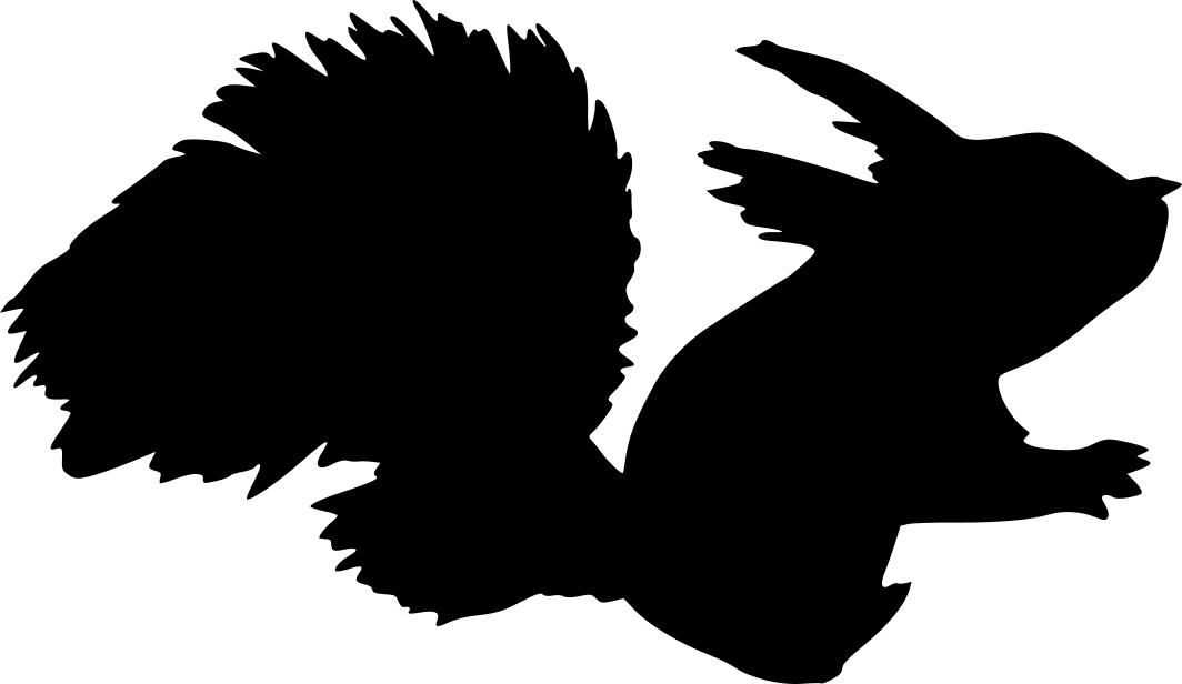 Écureuil