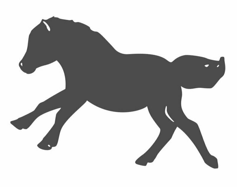 Silhouette poulain