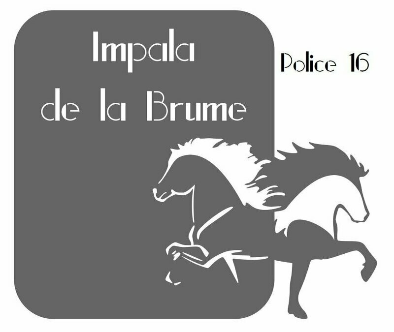 Plaque Petit Tonnerre