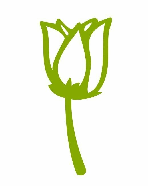 Silhouette fleur