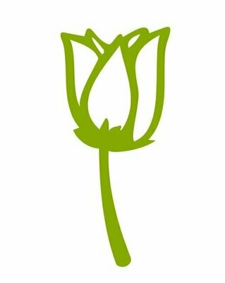 Silhouette fleur