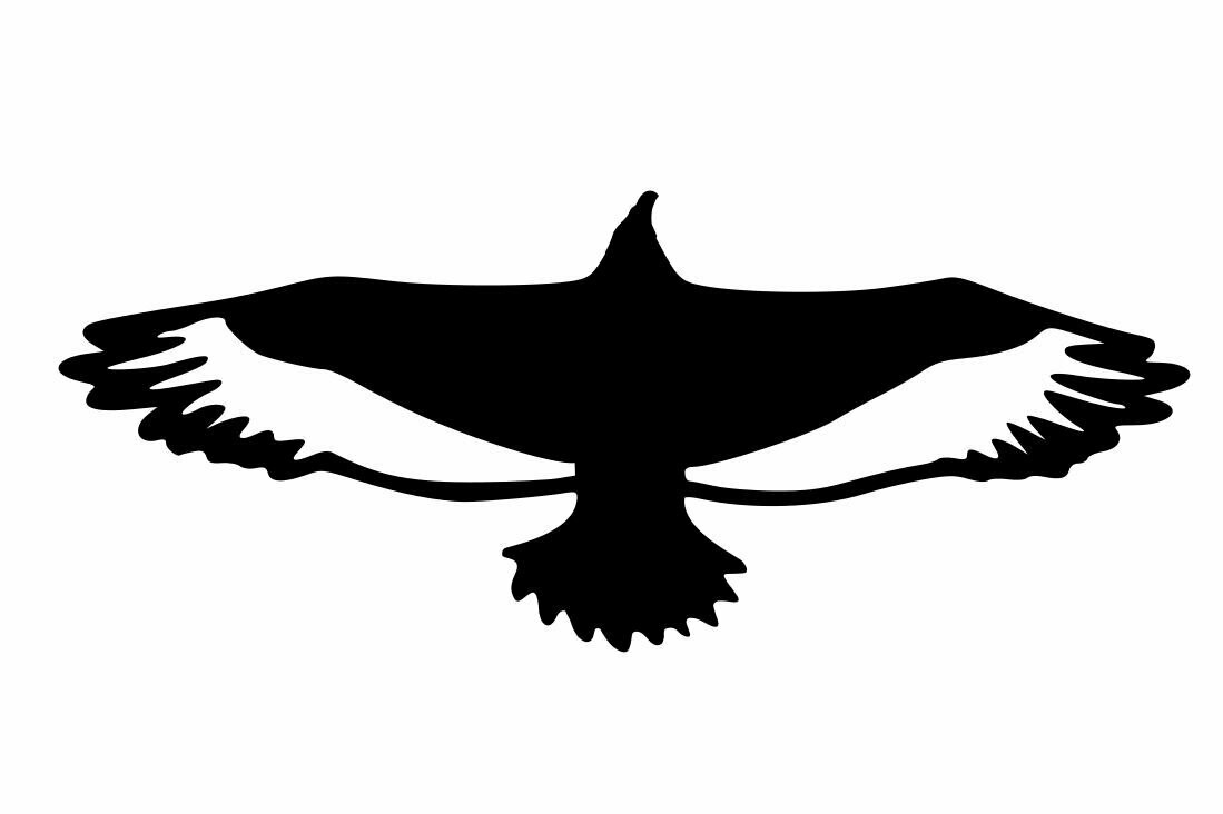 Silhouette vautour