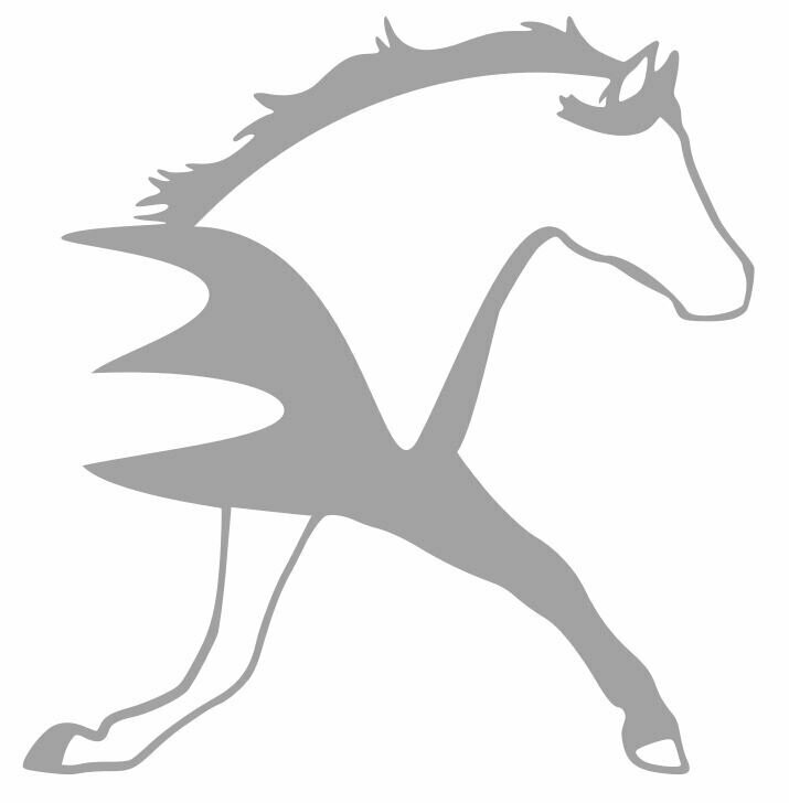 Silhouette Maximus