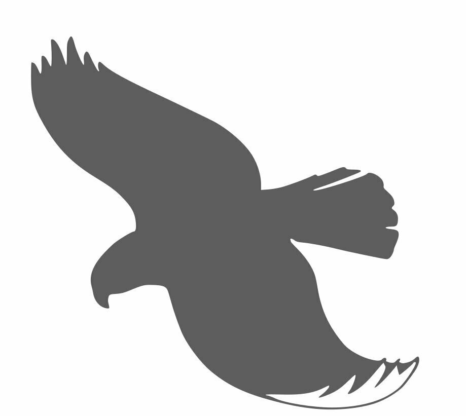 Silhouette faucon