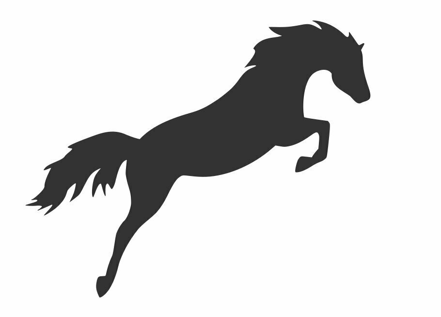 Silhouette Paddock