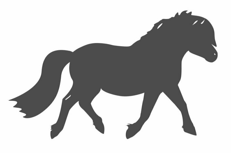 Applique Poney