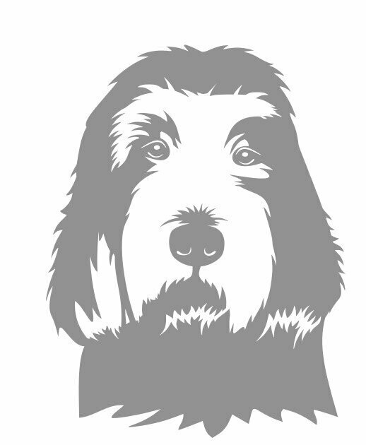 Applique  Chien Griffon