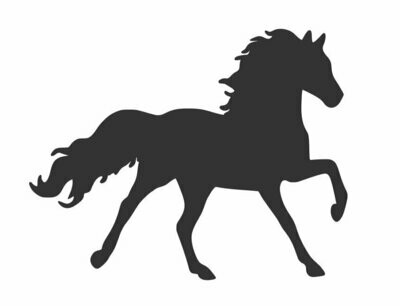 Silhouette Cyclone