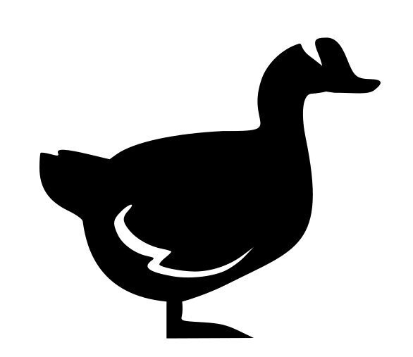 Applique canard