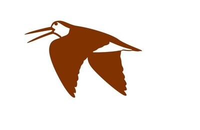 Silhouette Bécasse