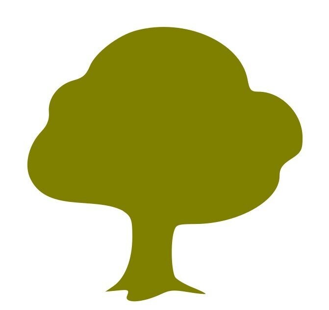Silhouette arbre