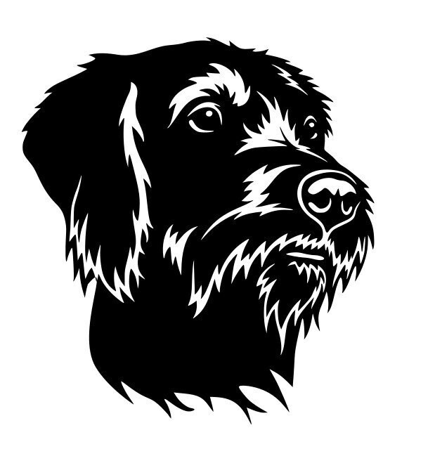 Silhouette Chien Teckel