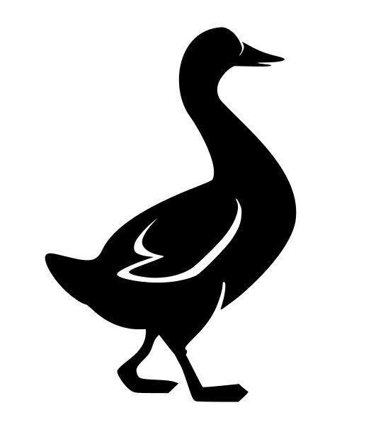 Silhouette oie
